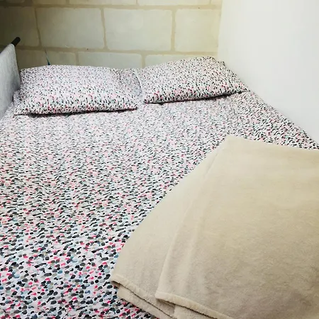 Maisonnette Centre Au Calme Nantes